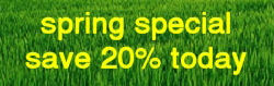Special!