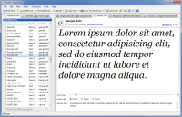 PA 8.0 - Sample Text tab